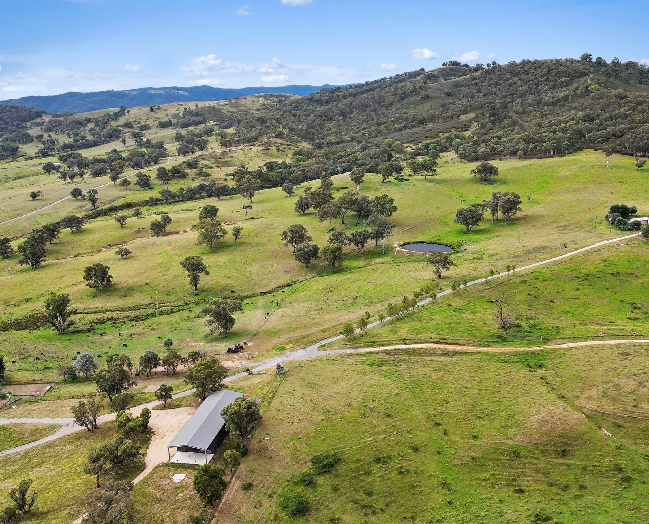 Aerial photograph of a real Fresh Earth farm, Cooksvale East, NSW: green regenerating grazing hills dotted with gums, a farm dam, cattle and a shed, blue ranges behind