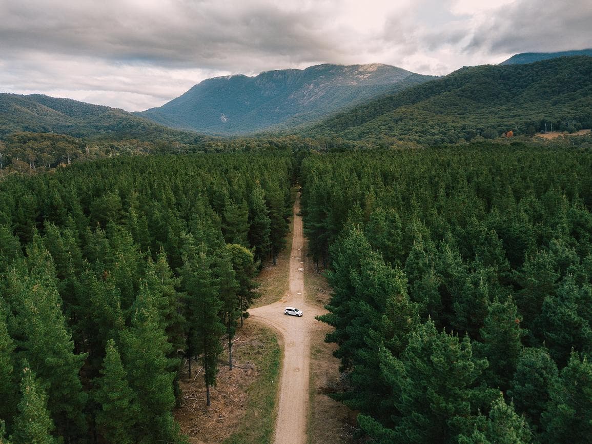 Aerial view of a forest on a Fresh Earth farm, with a track running through it and timbered ranges behind